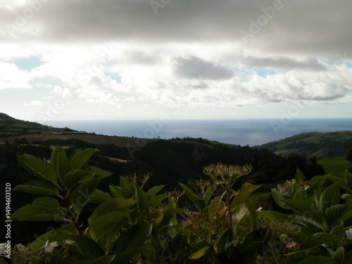 Obraz na płótnie Typical landscape of Azores. Natural green fields hills and sea. w salonie