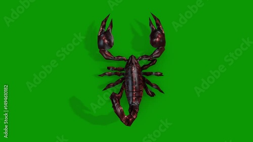 Scorpion Walking Scene From Back-3D Animation On Green Screen