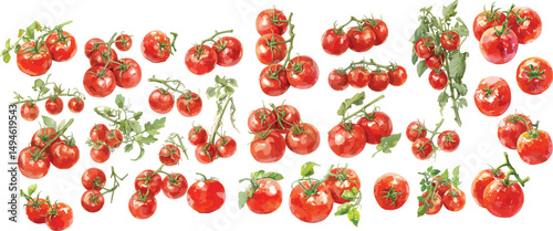 tomato watercolor clipart