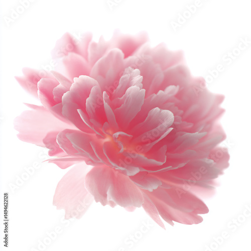 a pink flower is in a vase on a table