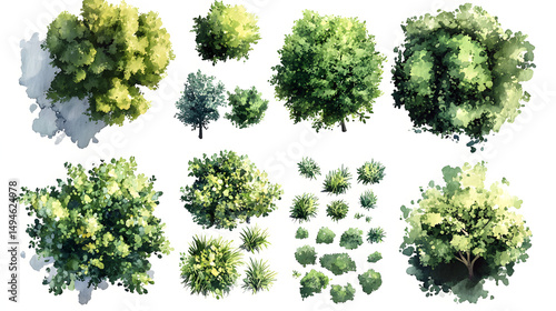 green grass isolated on white background, Set of watercolor tree top view for landscape plan and architecture layout