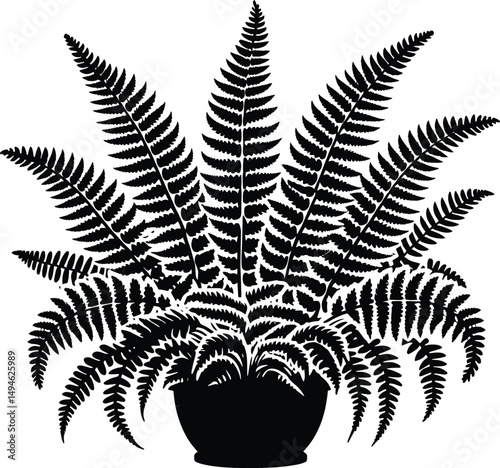 Royal Fern Tropical Plant landscape element vector illustration isolated on a white background
