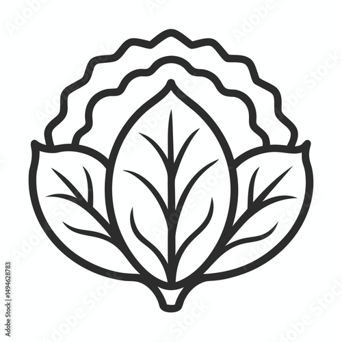 Collard Greens outline icon on white background