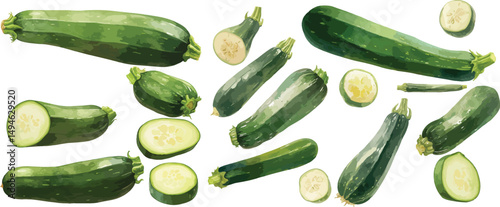 zucchini watercolor clipart