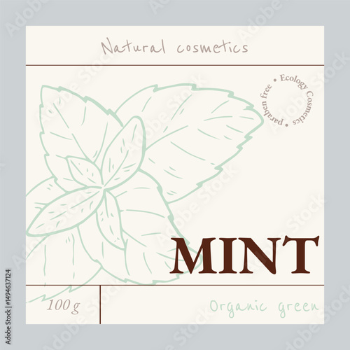 Mint label template. Natural cosmetics ingredient. Hand drawn ink sketch plant from package design. Ecology concept in beauty industry. Vector illustration.