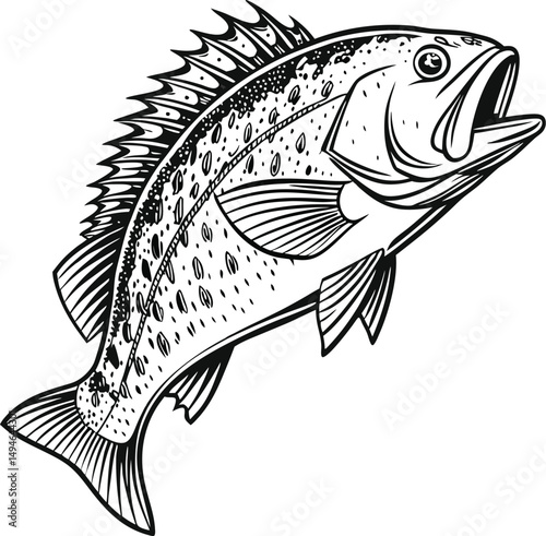 fish vector illustration