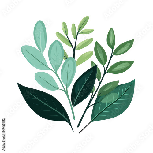 Green leaves and branches isolated on transparent background