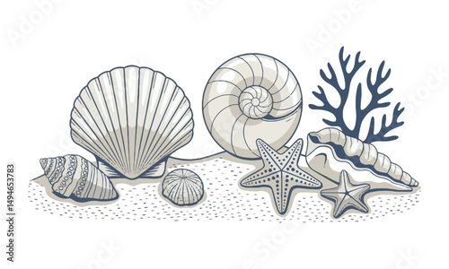 A Modern vector illustration set of assorted marine elements including various seashells, easily scalable and editable.