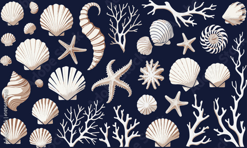 A Modern vector illustration set of assorted marine elements including various seashells, easily scalable and editable.