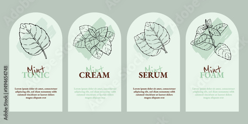 Mint emblem design template set. Natural cosmetics ingredient. Hand drawn ink sketch plant from package design. Ecology concept in beauty industry. Vector clip art