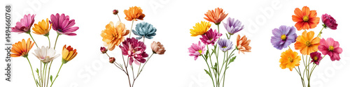 Vibrant colorful bouquet of diverse blooming flowers