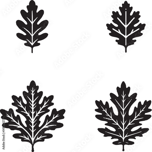 Black and White Leaf Sketches