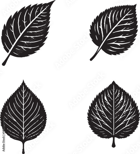 Black and White Leaf Illustrations