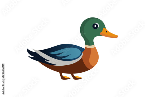 duck on white background