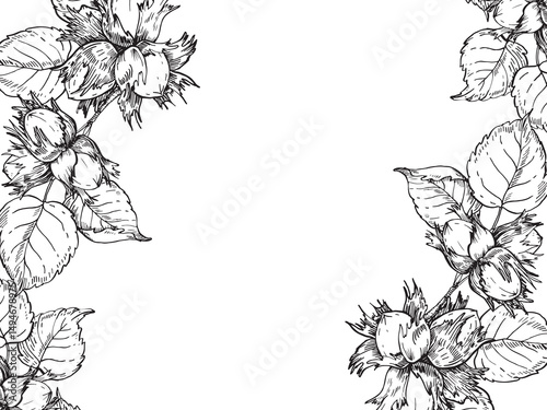 Hazelnut seamless border with branch, leaves and fruits. Vector black and white illustration hand drawn with ink. Graphic element for label and logo design