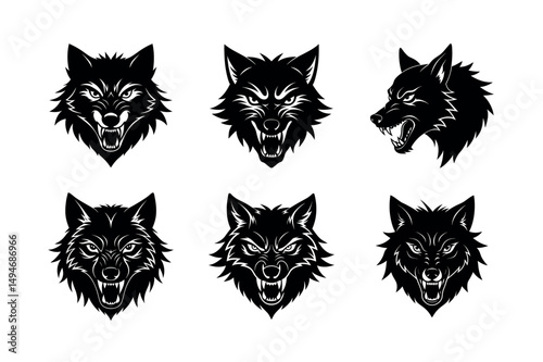 enraged wolf face on white background variation set