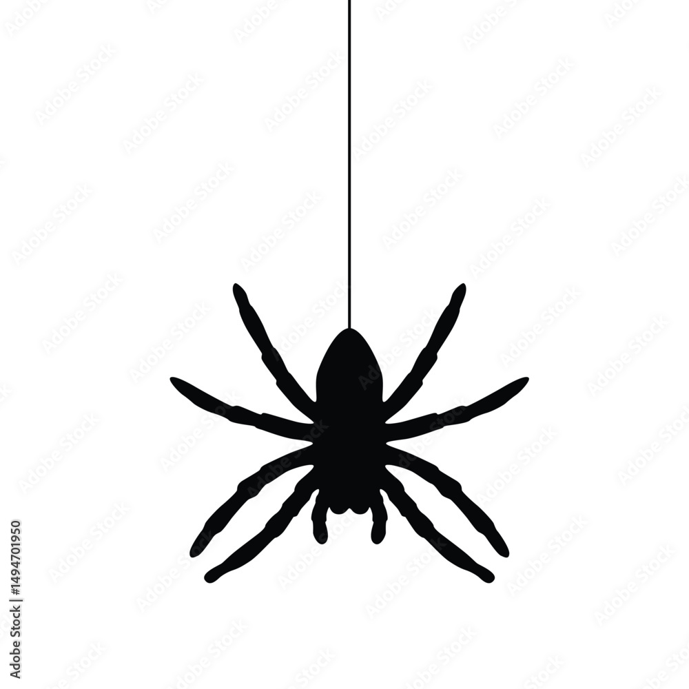 Obraz premium Black spider silhouette. Vector illustration isolated on white background