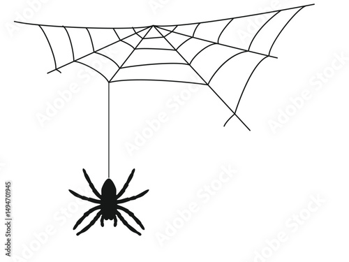 Black silhouette of a spider on a web. Vector illustration on a white background