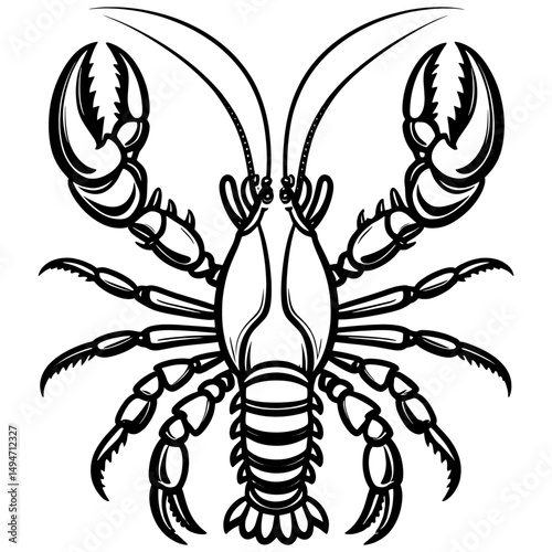 Lobsters line art. Lobsters fish coloring pages for coloring book.Black and White Lobster Illustration Detailed Line Art for Seafood Designs.a coloring page of an spiny lobster with no color.