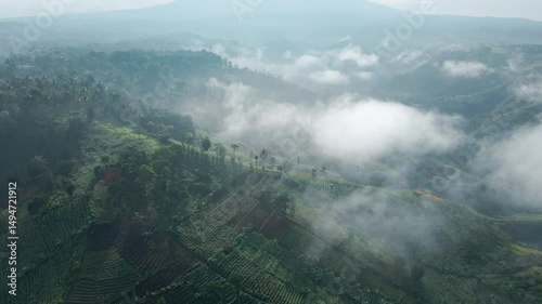 Morning Aerial View of Lush Green Hills Covered in Clouds

