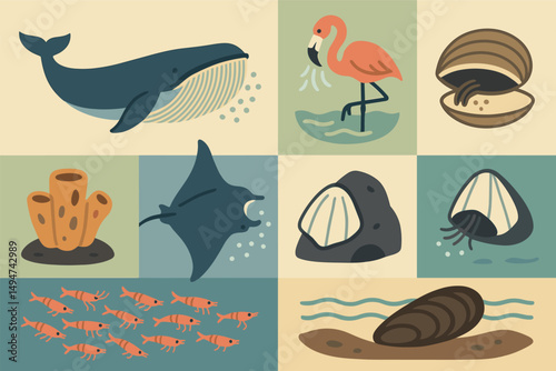 Marine life flat icons set – aquatic, ocean, sea creatures illustrations