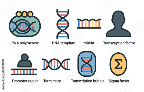 Biology and genetics icons set – flat, outline, dna and molecular science symbols