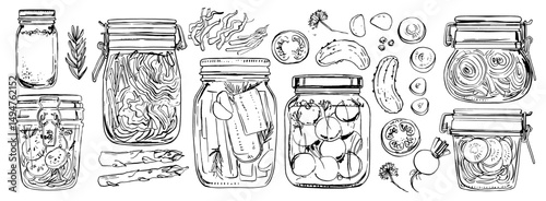 Fermented vegetables. Vector food line drawing on white background. Jars with preserves, sauerkraut, pickles.
