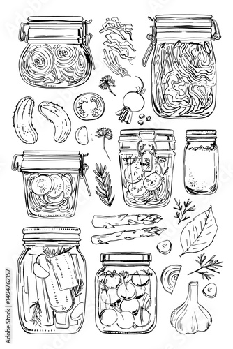 Fermented vegetables. Vector food line drawing on white background. Jars with preserves, sauerkraut, pickles.