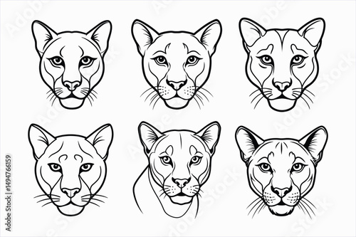 set of puma face line art vector.