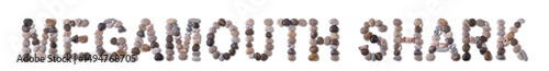 The word "MEGAMOUTH SHARK" is lined with shells and stones of different shapes and colors on a transparent background. Types of fish and seafood, price tag, sea food, fish market, sea alphabet.