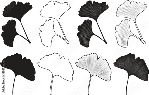 Ginkgo Leaf Vector Set – Hand Drawn Silhouette and Line Art Botanical Illustration Isolated on Transparent Background