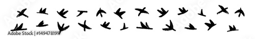 Bird in flight with expressive brush strokes in crayon style, nature symbol. Flat vector illustration isolated on white background.