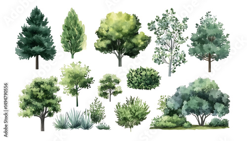 Watercolor tree and bush collection isolated illustration with variety on transparent background