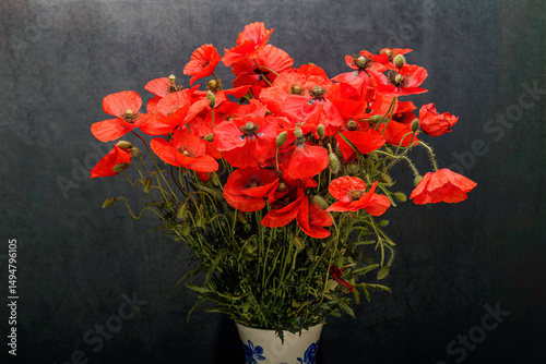 red poppy flowers
