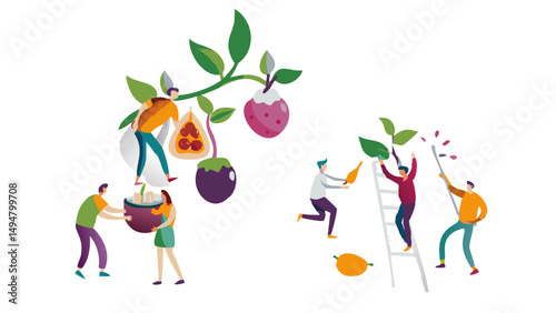 People harvesting fruits from trees using ladders and carrying baskets in a vibrant illustration