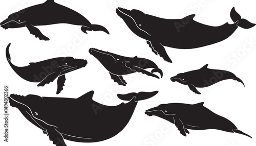 Humpback Whale Silhouette: Abstract Marine Art and Illustration for Oceanic Themes in Stylized Sea Life Vector Design Collection