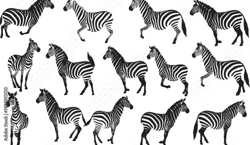 Elegant Zebra Patterns: Stylish Black and White Animal Illustrations in Vector Graphics Collection