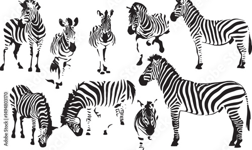 Black and White Zebra Patterns: Stylized Wildlife Art and Animal Silhouettes for Safari Decor and Zoology Studies