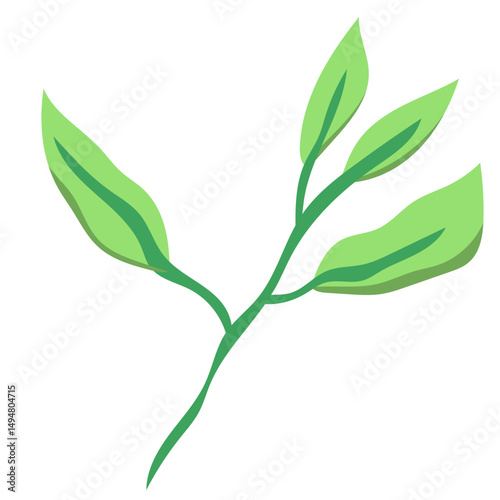 Green Tea Leaves