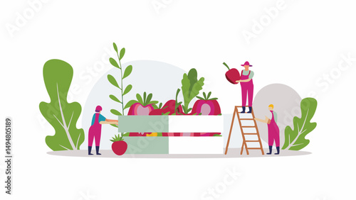 Farmers harvesting tomatoes and cherries and putting them in a crate with a ladder and foliage around it