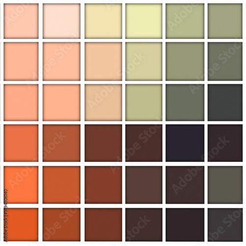 Elegant minimalist  brown earth tones, sample color swatches palette background.