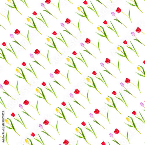 Pattern of colorful tulips on a white background