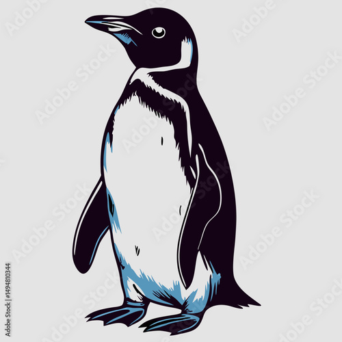 Cute Penguin Illustration, Black and White Bird Drawing
