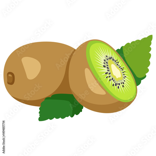 Vector image of Kiwi fruit with isolated white background and transparent