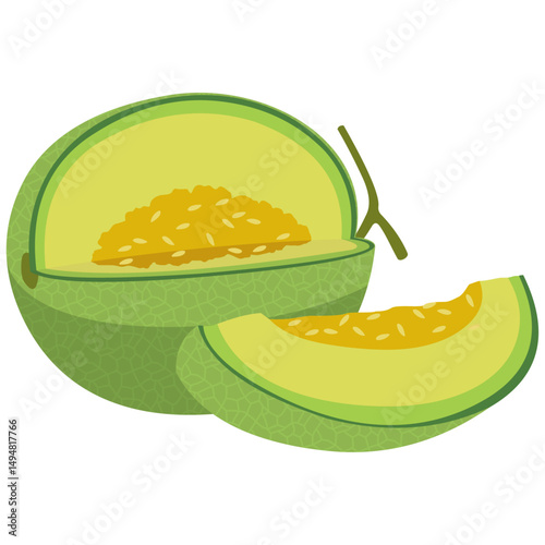 Vector image of Melon fruit with isolated white background and transparent