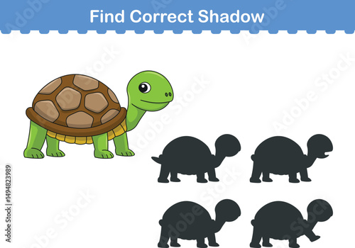 Funny cartoon tortoise. find the correct shadow. Kids Education games. Cartoon vector illustration