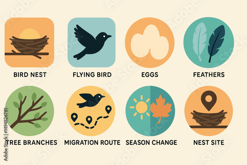 Birdwatching and ecology icons set - flat, outline, nature conservation symbols