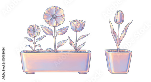 Isolated Flowers in pot