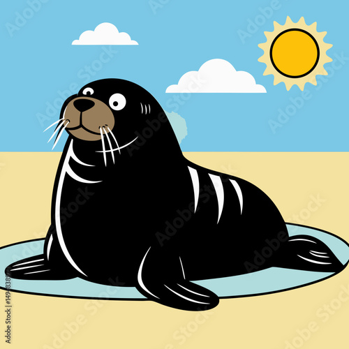 sea lion on the beach