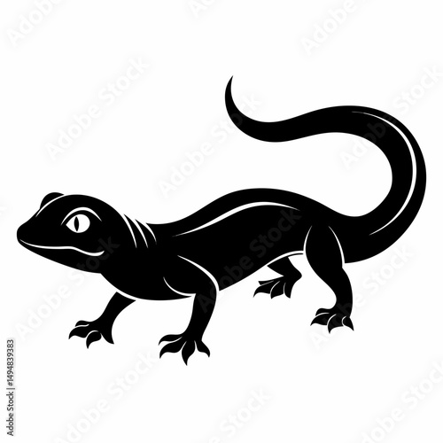 lizard isolated on white background